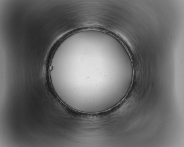 X0000091660975200709201141