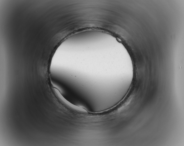 X0000091660977200709201141