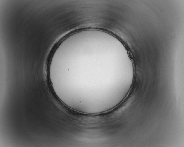 X0000091660981200709201141