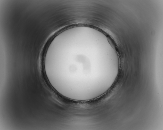 X0000091660983200709201141