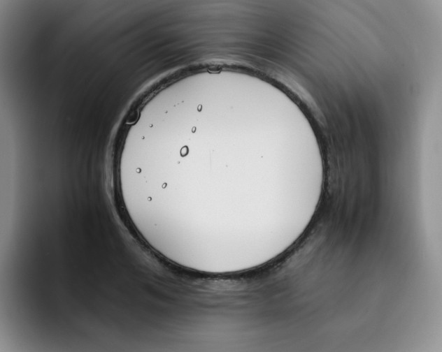 X0000091660984200709201141