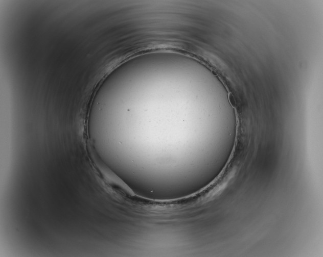 X0000091660985200709201141