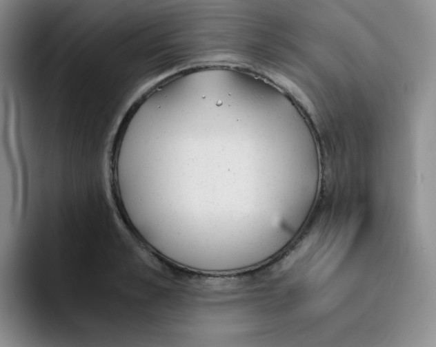X0000091660989200709201141