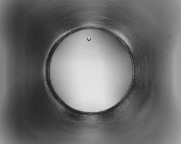 X0000091660991200709201141