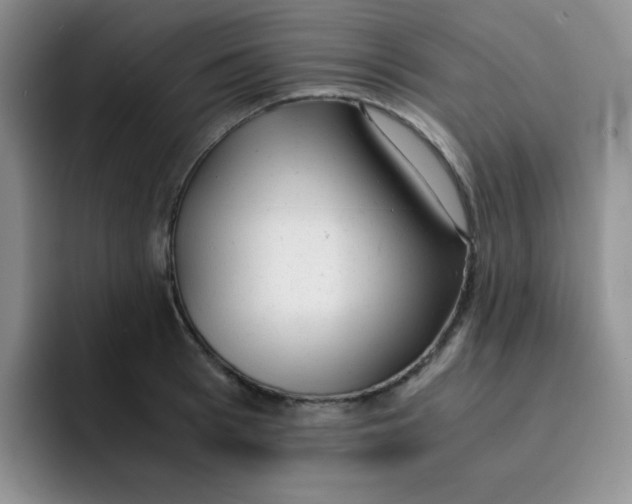 X0000091660993200709201141