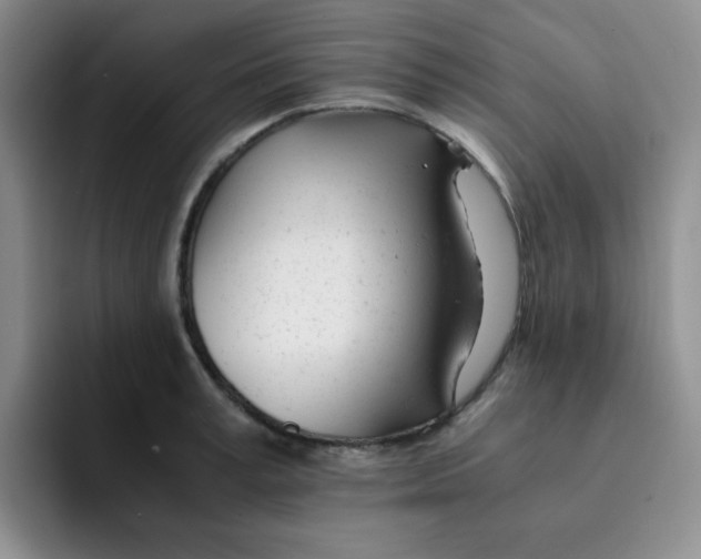 X0000091660995200709201141