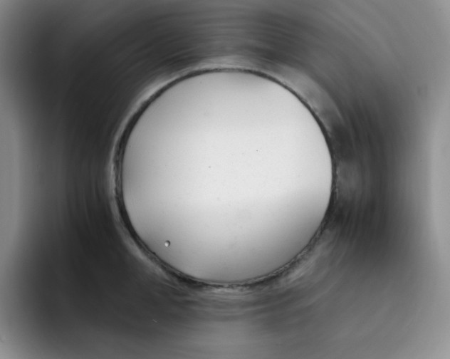 X0000091660998200709201141
