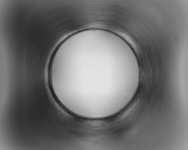 X0000091660999200709201141