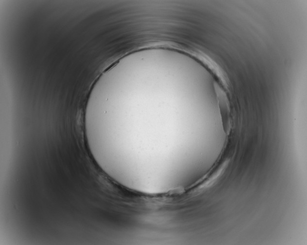 X0000091661001200709201141