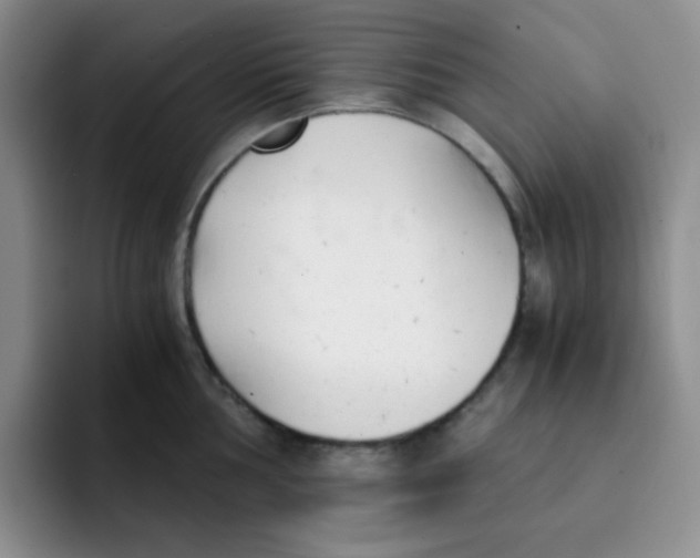 X0000091661002200709201141