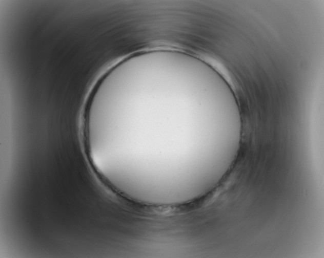 X0000091661003200709201141