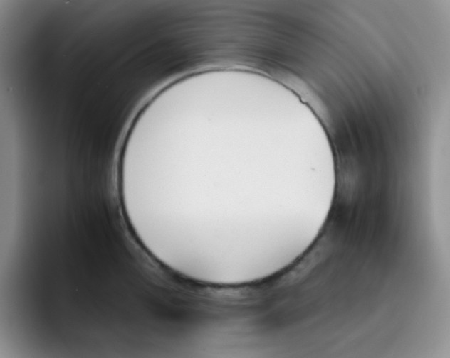 X0000091661004200709201141