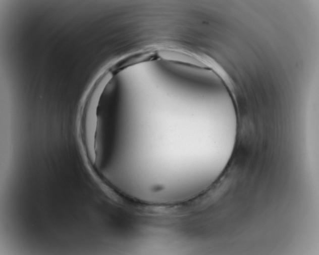 X0000091661005200709201141