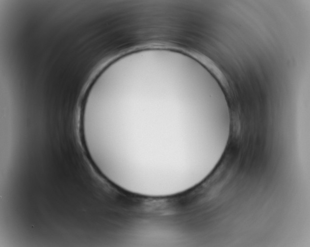 X0000091661006200709201141
