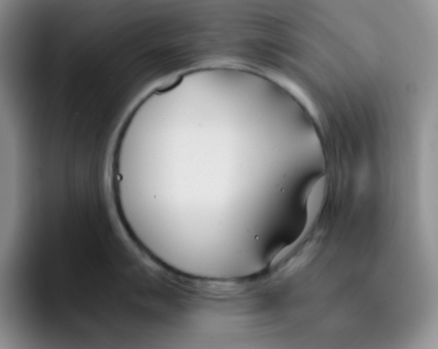 X0000091661007200709201141