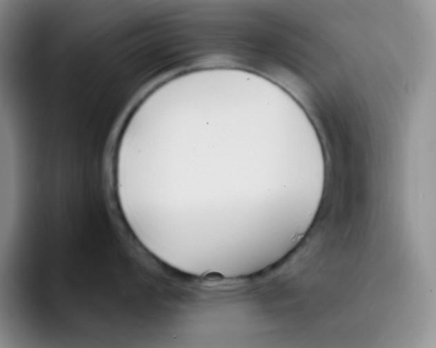 X0000091661008200709201141