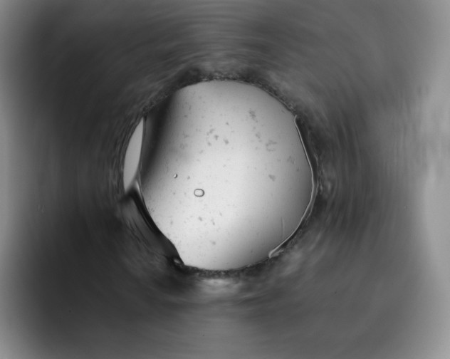 X0000091661010200709201140