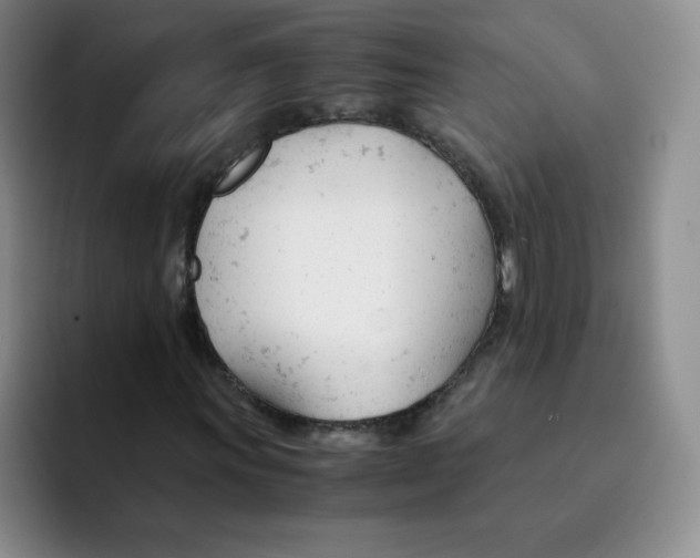 X0000091661011200709201140