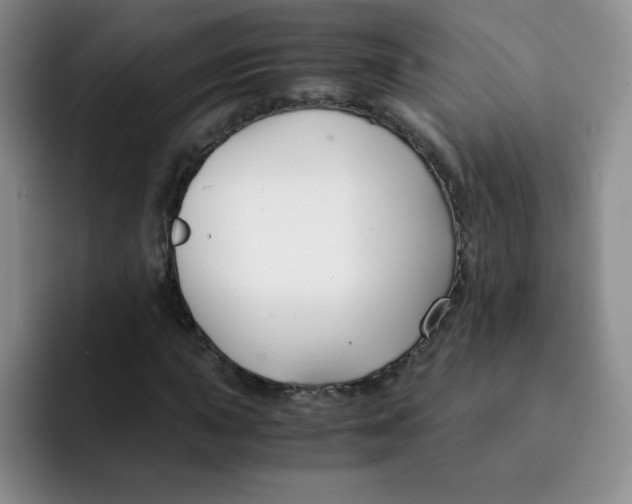 X0000091661015200709201140