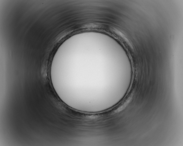 X0000091661017200709201140