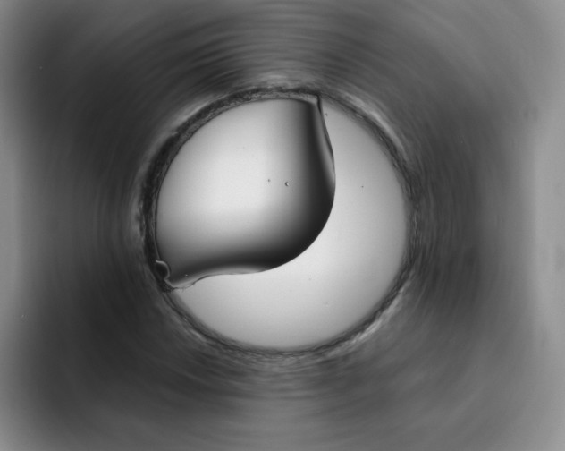 X0000091661018200709201140