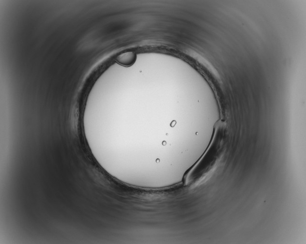 X0000091661021200709201140