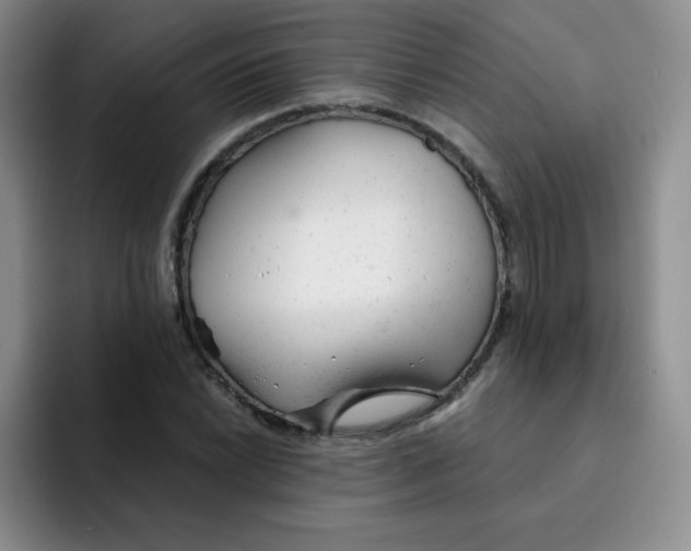 X0000091661022200709201140