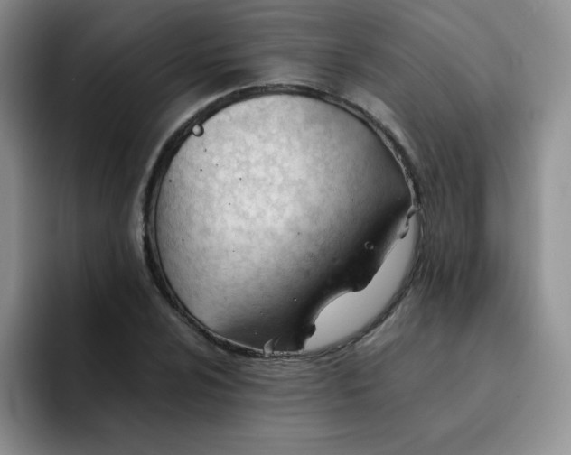 X0000091661024200709201140