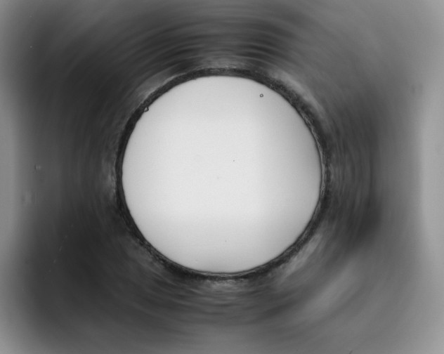 X0000091661025200709201140