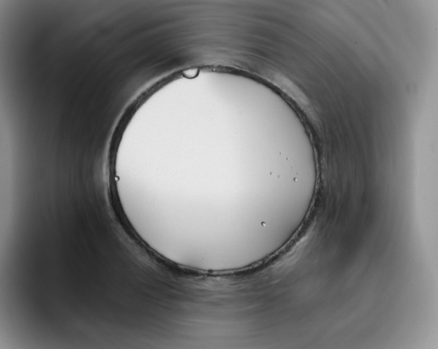 X0000091661028200709201140