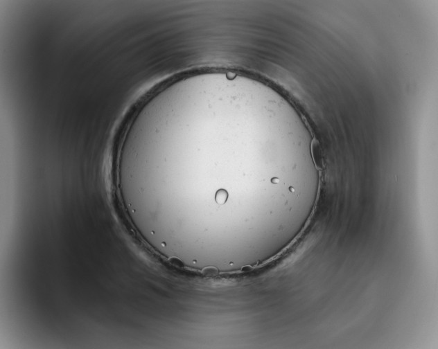 X0000091661030200709201140