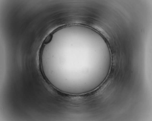 X0000091661031200709201140