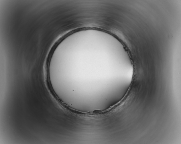 X0000091661032200709201140