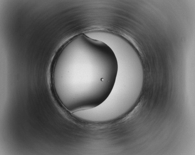 X0000091661034200709201140