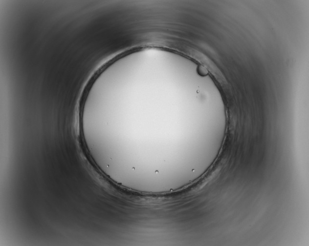 X0000091661036200709201140