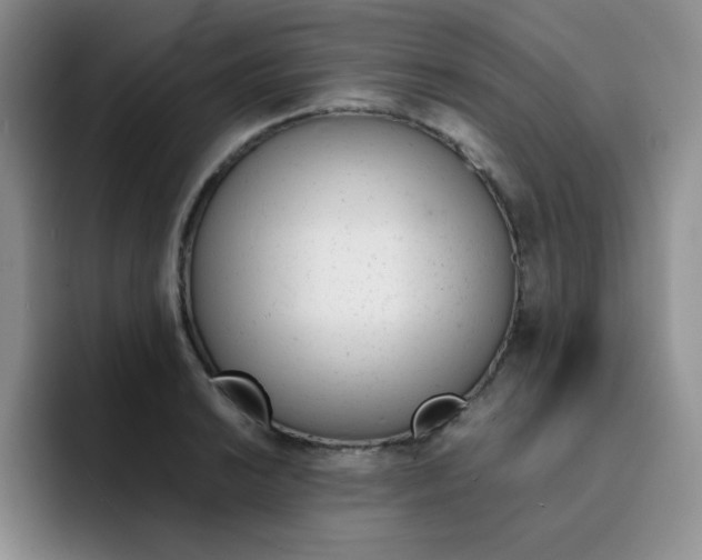 X0000091661038200709201140