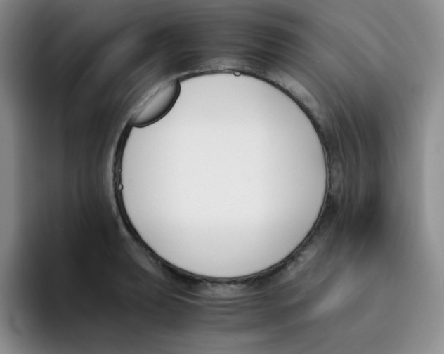 X0000091661039200709201140