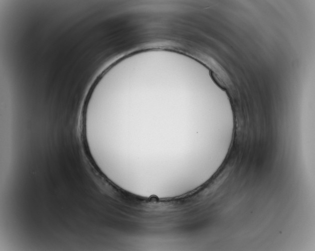 X0000091661044200709201140