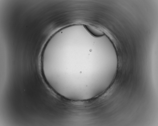 X0000091661048200709201140