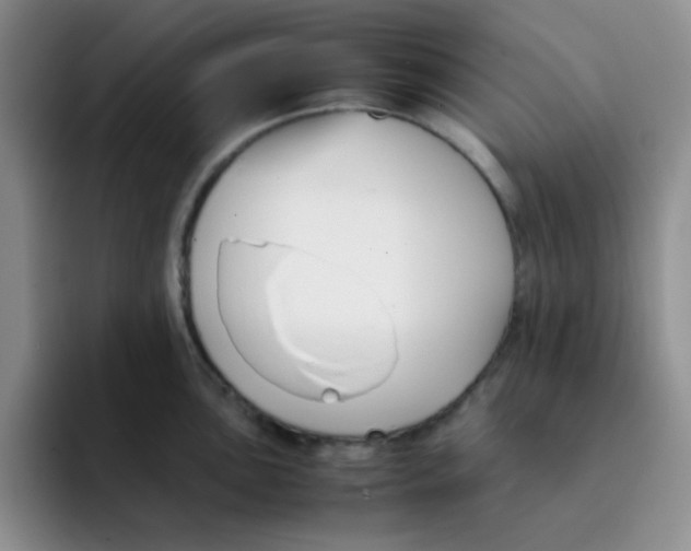 X0000091661051200709201140