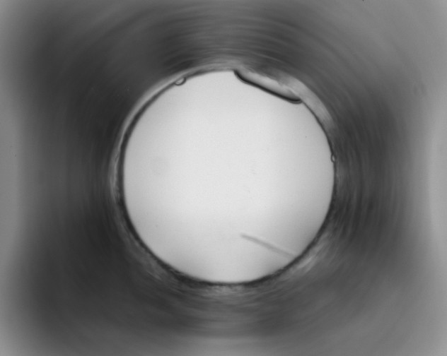 X0000091661052200709201141