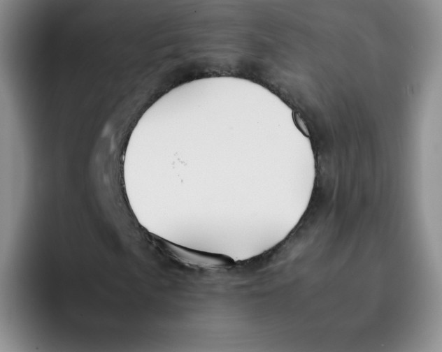 X0000091661057200709201140