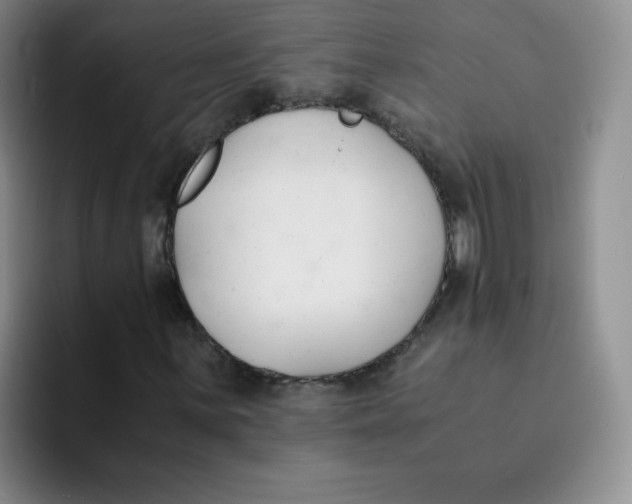 X0000091661059200709201140
