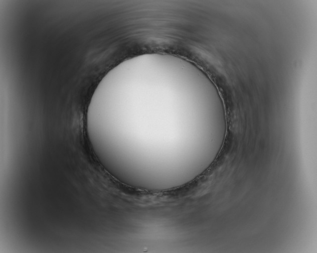 X0000091661061200709201140