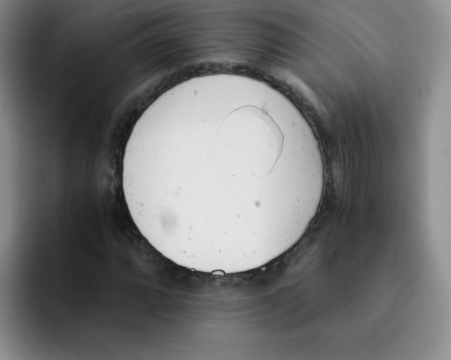 X0000091661064200709201140