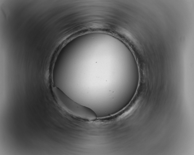 X0000091661065200709201140