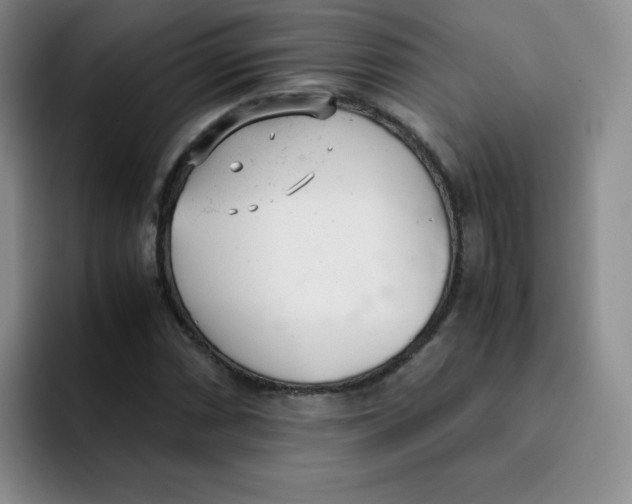 X0000091661066200709201140