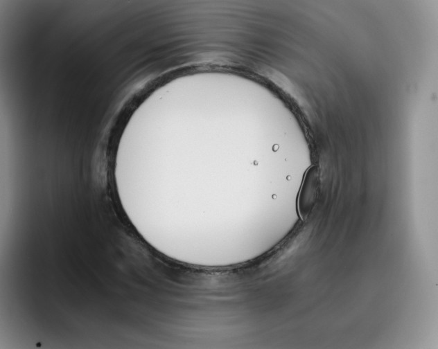 X0000091661067200709201140
