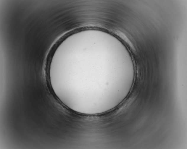 X0000091661068200709201140