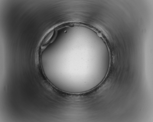 X0000091661069200709201140